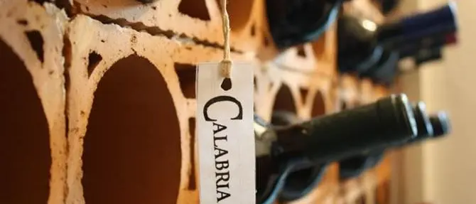 Sei vini calabresi al vertice dell'eccellenza enologica italiana