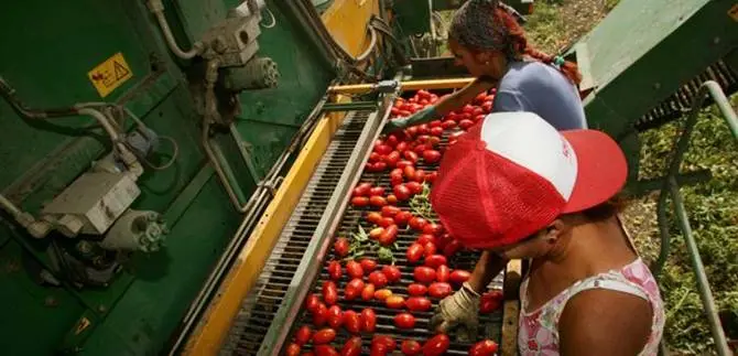 Agricoltura, Coldiretti: “Eliminare lo sfruttamento”