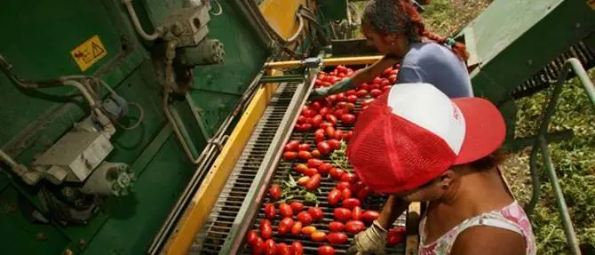 Agricoltura, Coldiretti: “Eliminare lo sfruttamento”