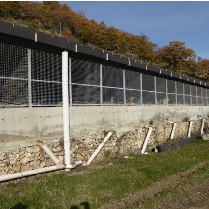 Mendicino, canile municipale sotto la lente della procura