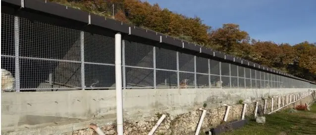 Mendicino, canile municipale sotto la lente della procura