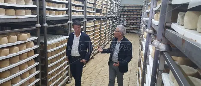 Renzi in visita alla “Fattoria della piana” di Rosarno (VIDEO)
