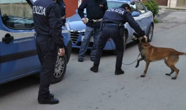 Operazione Alto Impatto disposta dal questore in provincia di Cosenza