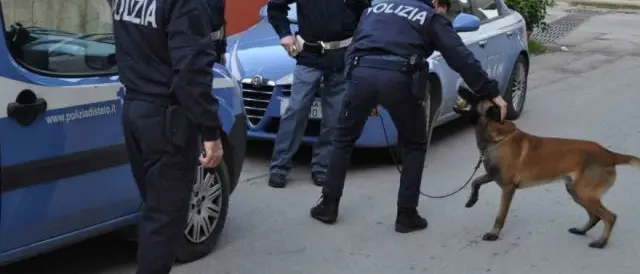 Operazione Alto Impatto disposta dal questore in provincia di Cosenza