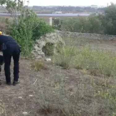 Castrovillari, anziano scomparso: continuano le ricerche