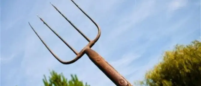 Crotone, ferisce il fratello con un forcone: arrestato