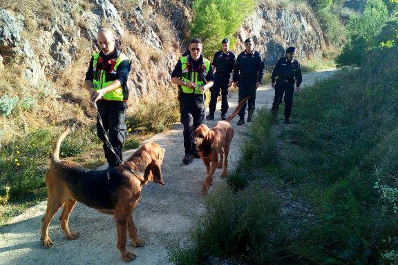 cani fiocco giallo cosa significa