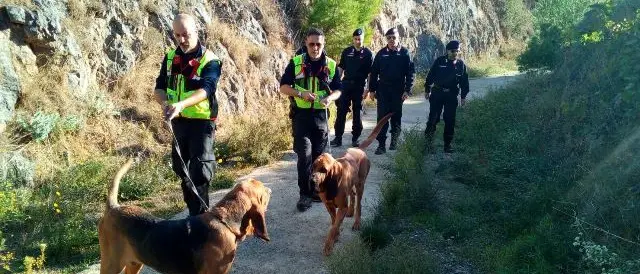 Castrovillari, ancora nessuna traccia di Giovanni Bifano