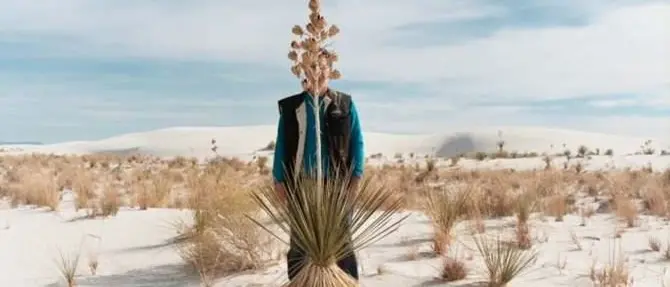 Unical, appuntamento con il professor Steven Feld