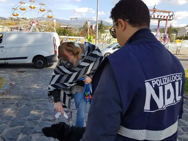 Deiezioni canine non raccolte, controlli a tappeto a Cosenza