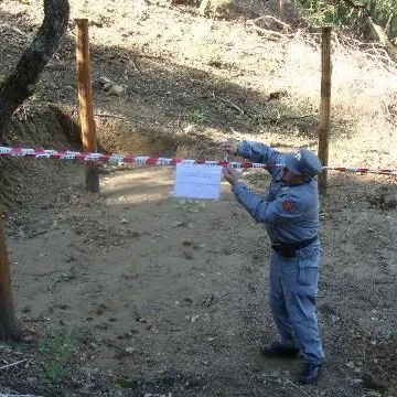 Casali del Manco, lavori abusivi in un bosco