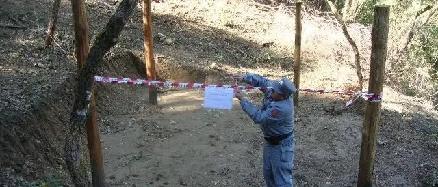 Casali del Manco, lavori abusivi in un bosco