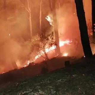 Catanzaro, incendio alla pineta di Siano durante la notte (FOTO)