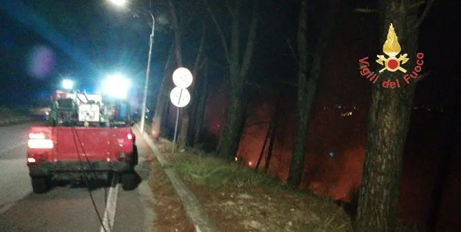 Catanzaro, ancora fiamme nella pineta di Siano