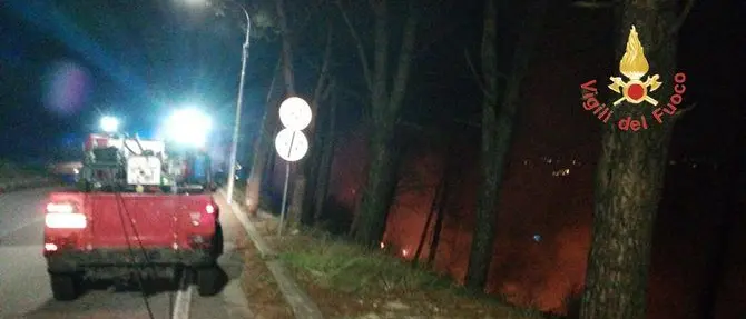 Catanzaro, ancora fiamme nella pineta di Siano