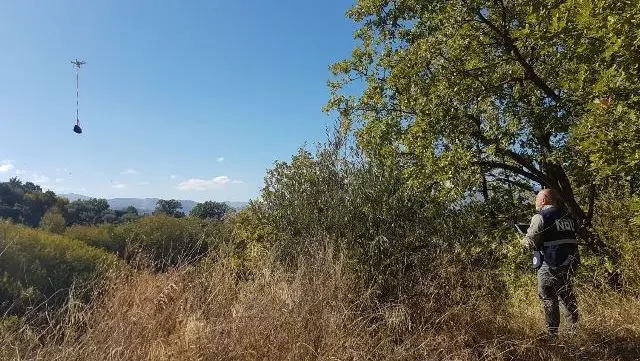 Cuccioli abbandonati salvati con l'ausilio di un drone