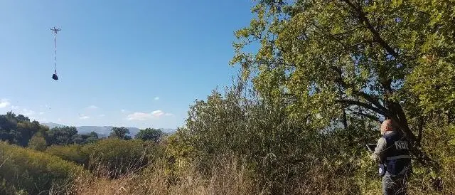 Cuccioli abbandonati salvati con l'ausilio di un drone