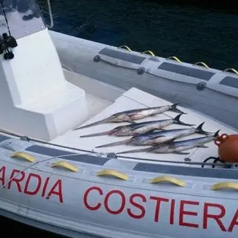 Sequestrati otto quintali di prodotto ittico in Calabria