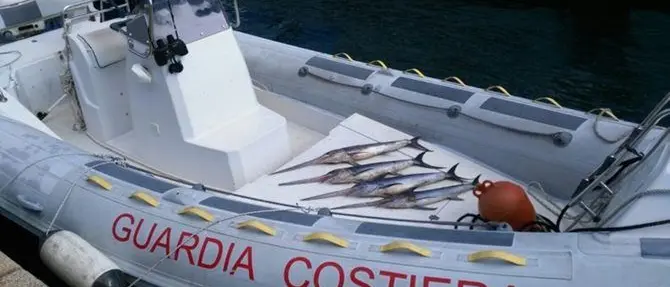 Sequestrati otto quintali di prodotto ittico in Calabria