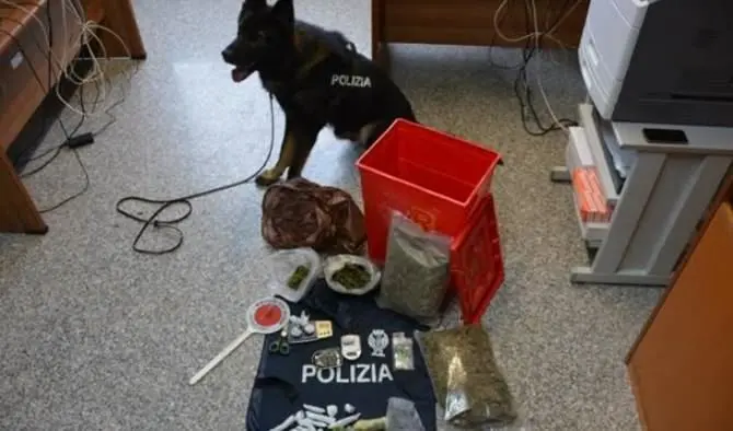 Vibo, arrestato spacciatore grazie al fiuto di Floyd