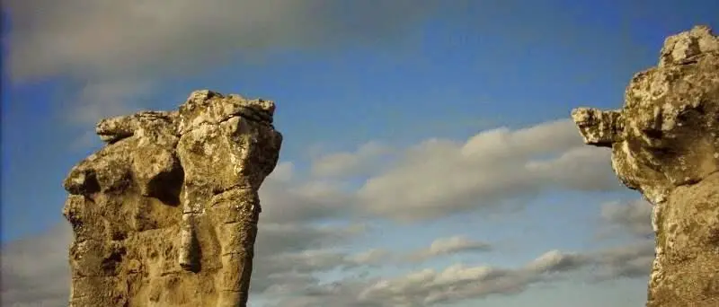 Elefanti in giro per la Sila tra il mito e la storia