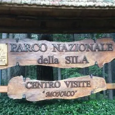 Il Parco della Sila vincitore della Bandiera verde agricoltura della Cia