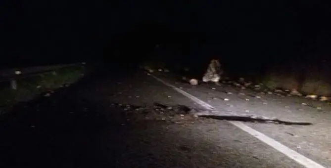 Massi si schiantano sulla strada provinciale Tiriolo-Gimigliano (Foto)