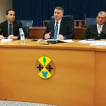 Contrasto al randagismo, illustrata la proposta di legge di Magno