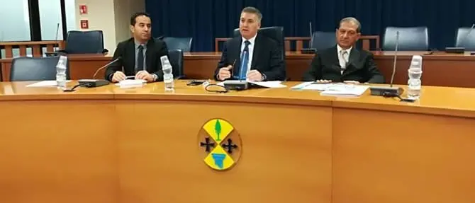 Contrasto al randagismo, illustrata la proposta di legge di Magno