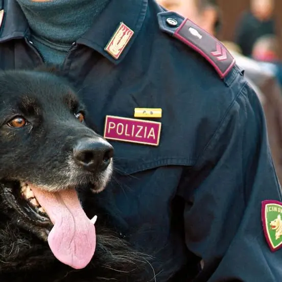 Cosenza, agenti traggono in salvo aspirante suicida