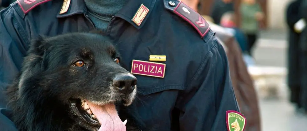 Cosenza, agenti traggono in salvo aspirante suicida