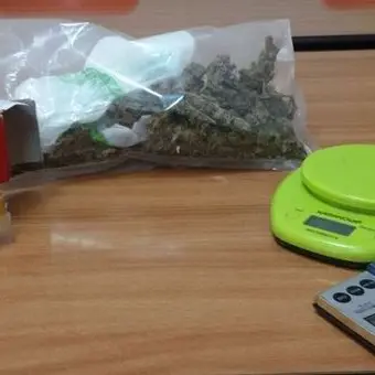 Marijuana nascosta in un’azienda agricola, un arresto a Maida