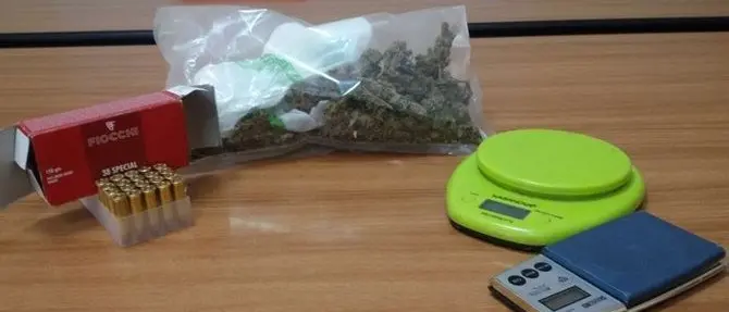 Marijuana nascosta in un’azienda agricola, un arresto a Maida