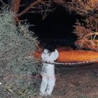 Omicidio dell’infermiere Colloca: 8 indagati a Vibo