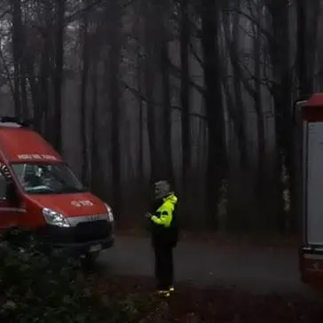 Si perdono nei boschi di Mammola, ritrovati due cacciatori