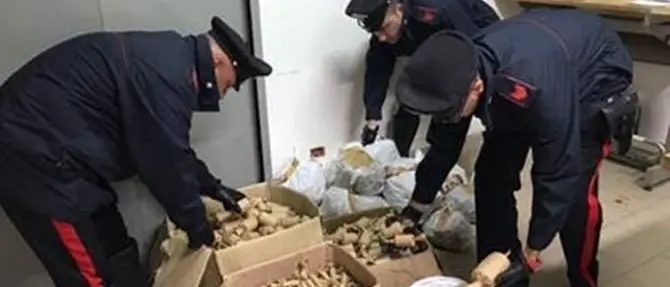 In auto con 96 chili di materiale pirotecnico, denunciato