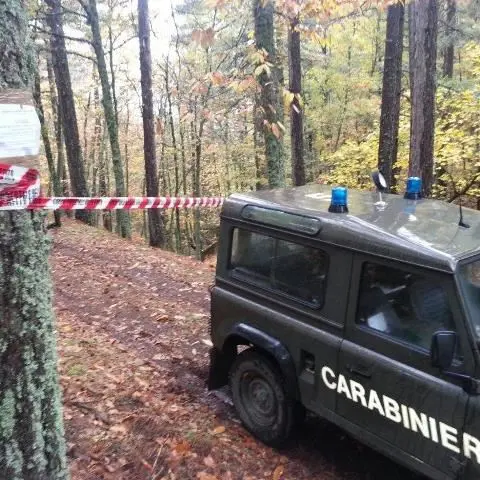 Disboscamento abusivo a Caloveto, tre persone denunciate