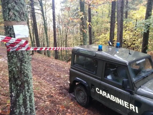 Disboscamento abusivo a Caloveto, tre persone denunciate