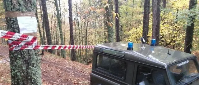 Disboscamento abusivo a Caloveto, tre persone denunciate