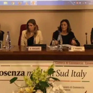 Giustizia alternativa, focus alla Camera di commercio di Cosenza