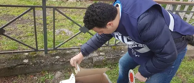 Cuccioli abbandonati a Donnici, salvati dalla polizia municipale
