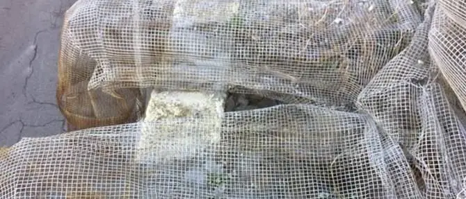 Pizzo, petardi contro “Il collezionista di venti”