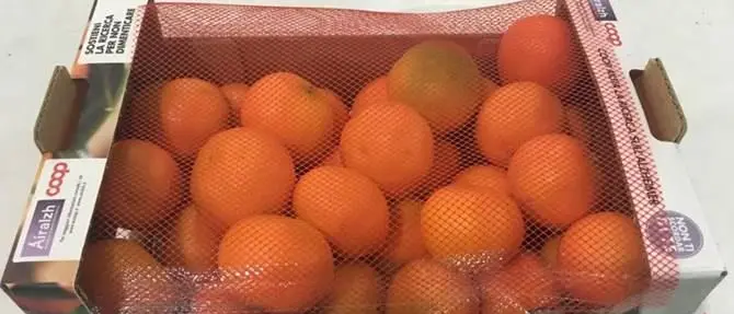 Alzheimer, le clementine di Calabria a sostegno della Ricerca