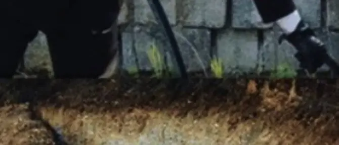 Reflui da frantoio scaricati nel terreno, due denunce