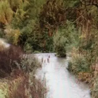 Reflui del frantoio nel fiume, sequestro a San Marco Argentano