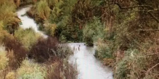 Reflui del frantoio nel fiume, sequestro a San Marco Argentano