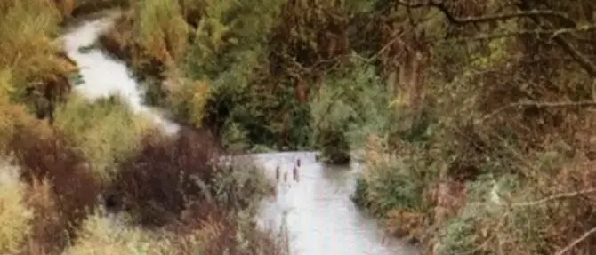 Reflui del frantoio nel fiume, sequestro a San Marco Argentano