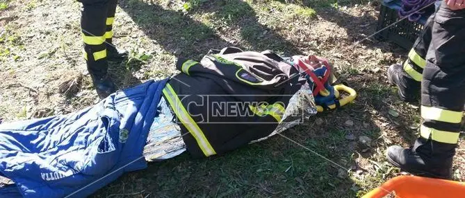 Catanzaro, precipita da un albero: ferito gravemente