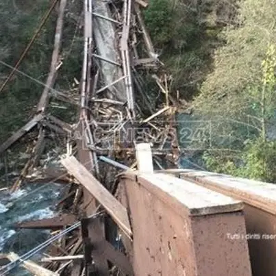 Ponte crollato nel Parco del Pollino, colpa della cattiva manutenzione?