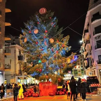 Cosenza, l'accensione dell'albero dà il via alle iniziative per le festività